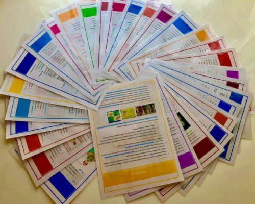 Kids-Lesson-11-worksheets