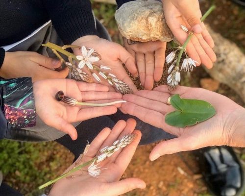 Kids-Lesson-12-Live-Group