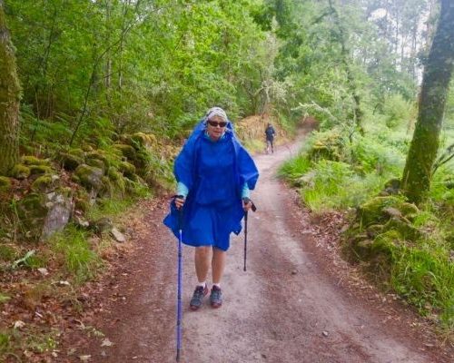 camino-stage4 - Custom)