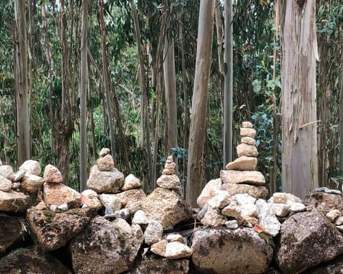 camino-stage6 - Custom)